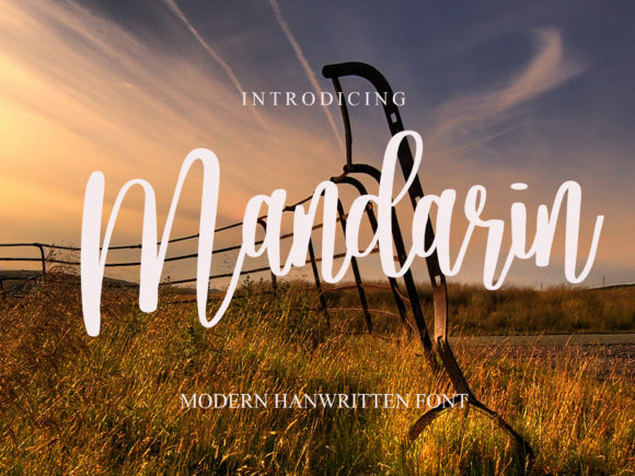 Mandarin: Elegant Script Handwritten Font for Modern Design