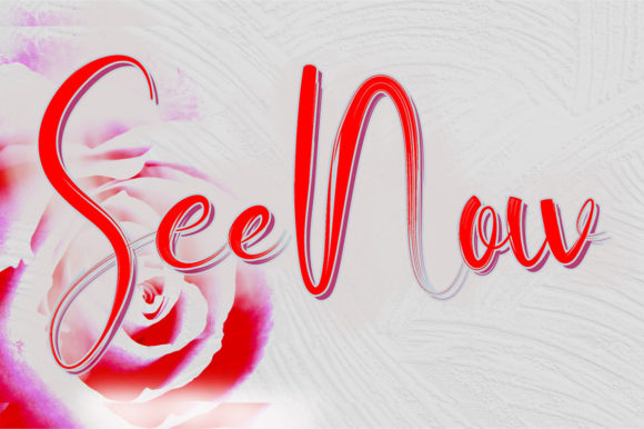 See Now Script Font for Elegant Branding